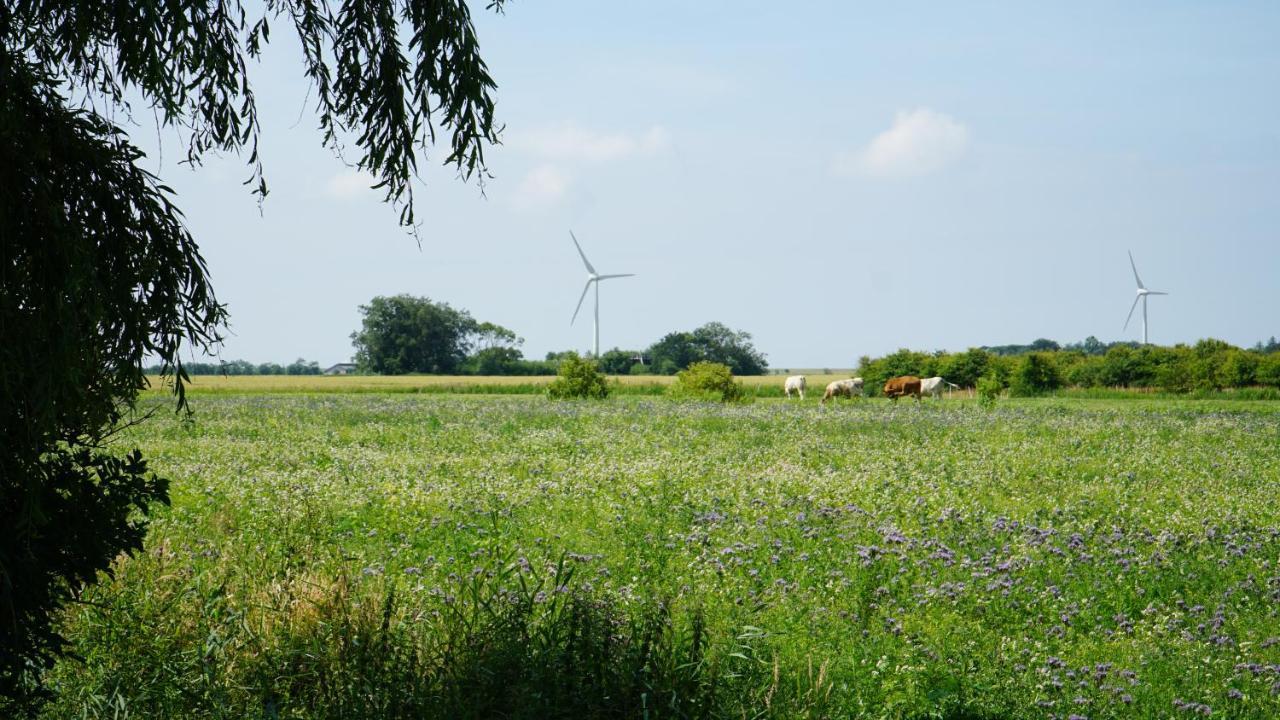 Ferienhaus Achtern Diek Emmelsbüll-Horsbüll Eksteriør billede